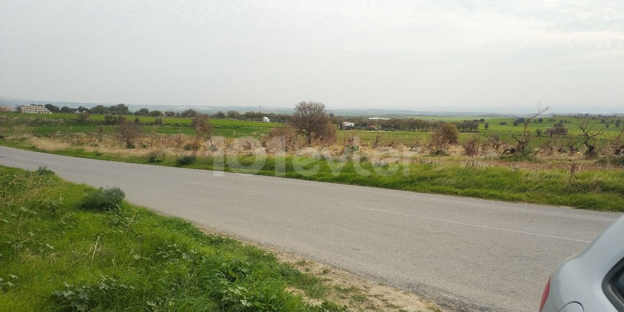 Land for Sale in Kyrenia-Pinarbasi