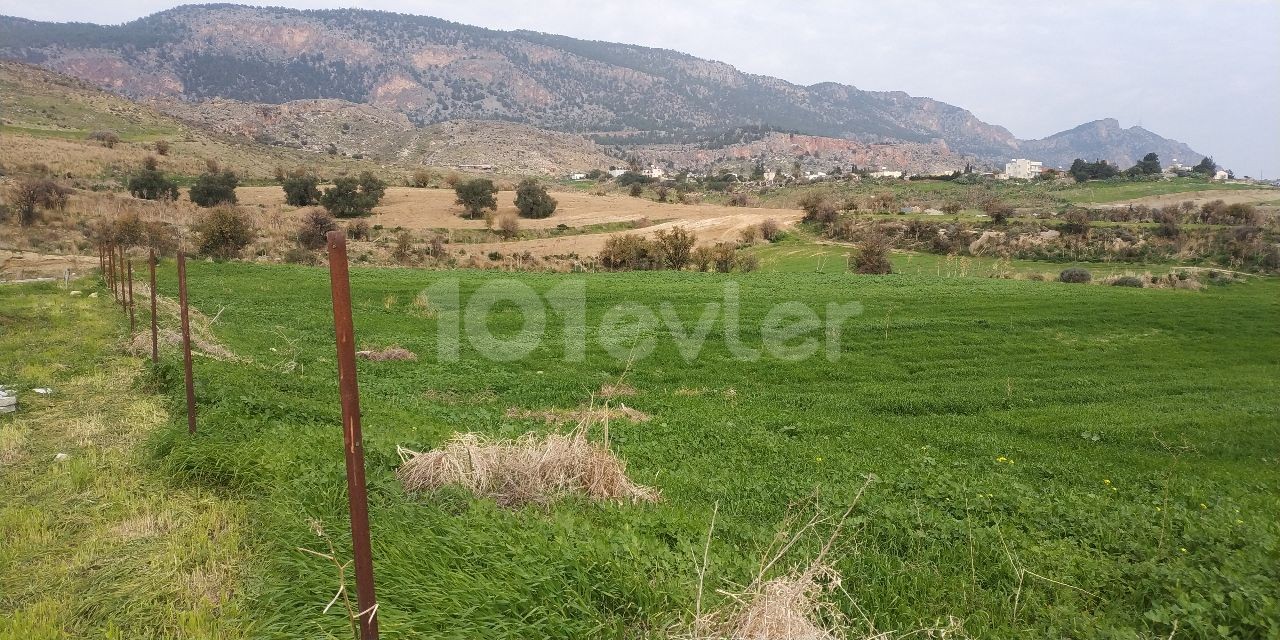 Land for Sale in Kyrenia-Pinarbasi