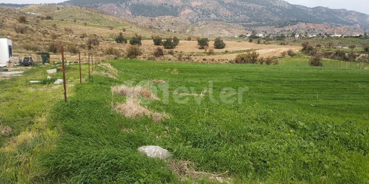 Land for Sale in Kyrenia-Pinarbasi