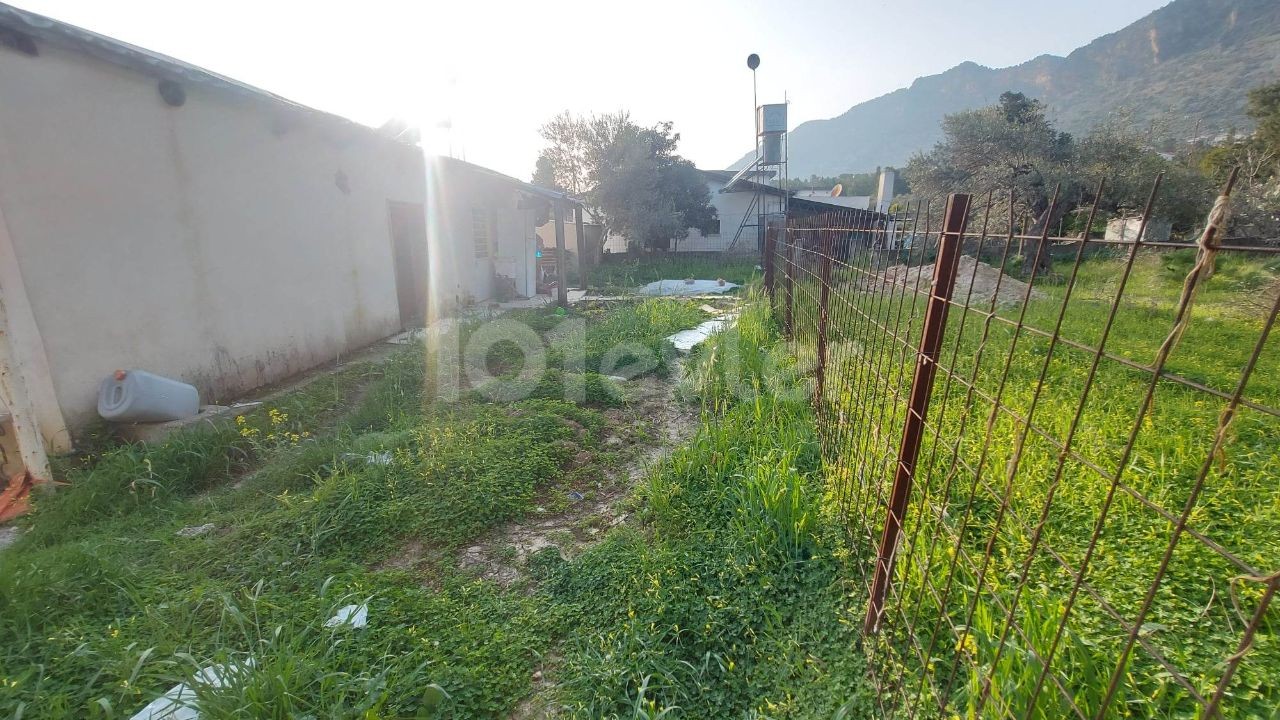 3+1 und 2+1 freistehende Häuser zu verkaufen in Kyrenia Bogaz (2 Häuser mit einer Eigentumsurkunde)