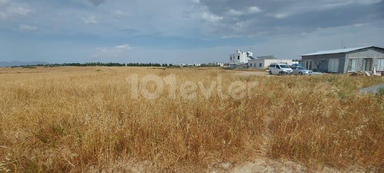 Land for Sale in Alaykoy Entrance