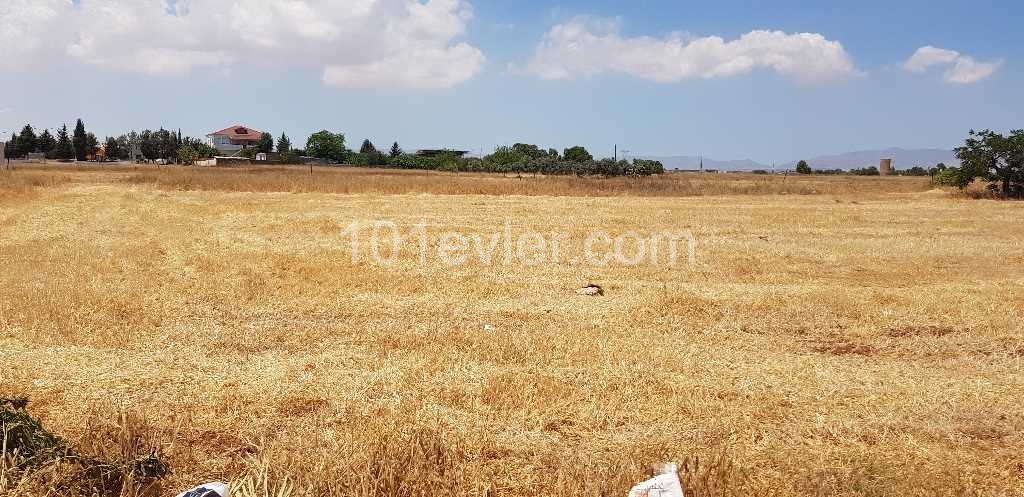 Land for sale in Famagusta mormenekshe dec ** 