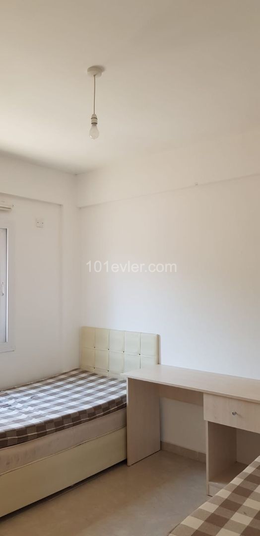 Fully furnished luxury flat for rent, within walking distance of DAÜ, with 2+1 annual payments