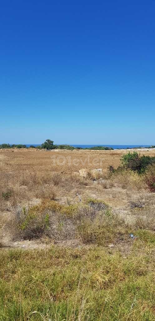 Girne çatal köyde deniz kenarinda acil satılık 6 dönüm arazi 