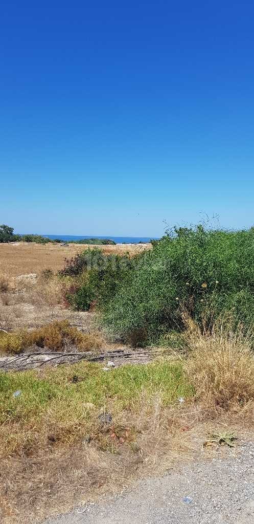 Girne çatal köyde deniz kenarinda acil satılık 6 dönüm arazi 