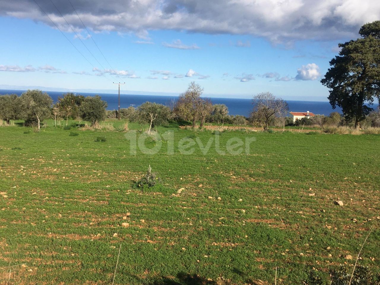 SEA VIEW LAND FOR SALE IN İSKELE SİPAHİ KÜY