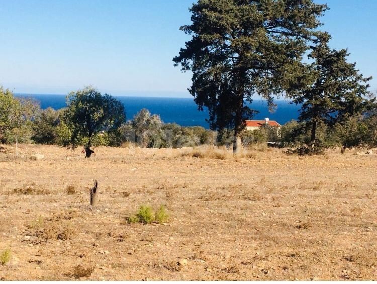 GRUNDSTÜCK MIT MEERBLICK ZUM VERKAUF IN İSKELE SİPAHİ KÜY