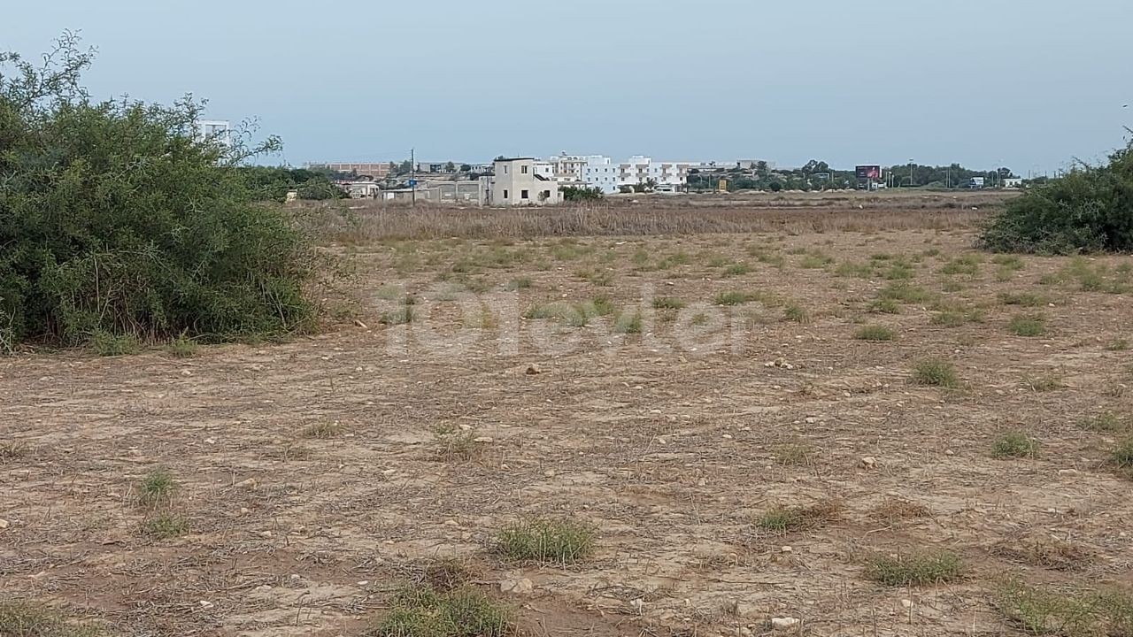 TEK YETKİLİ SATIŞ  DANIŞMANINDAN İSKELE BAFRA BÖLGESİNDE İMARA AÇIK SATILIK ARAZİ 