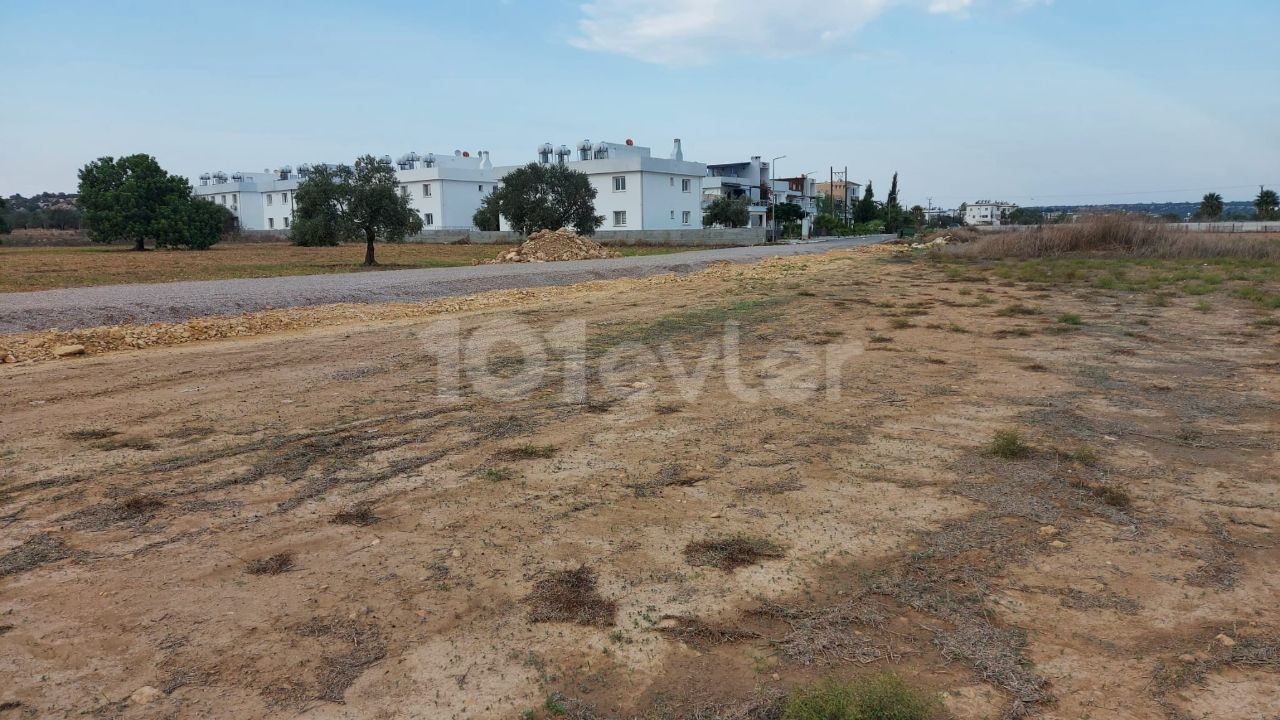 LAND FOR SALE IN ISKELE BAFRA REGION FROM THE ONLY AUTHORIZED SALES CONSULTANT