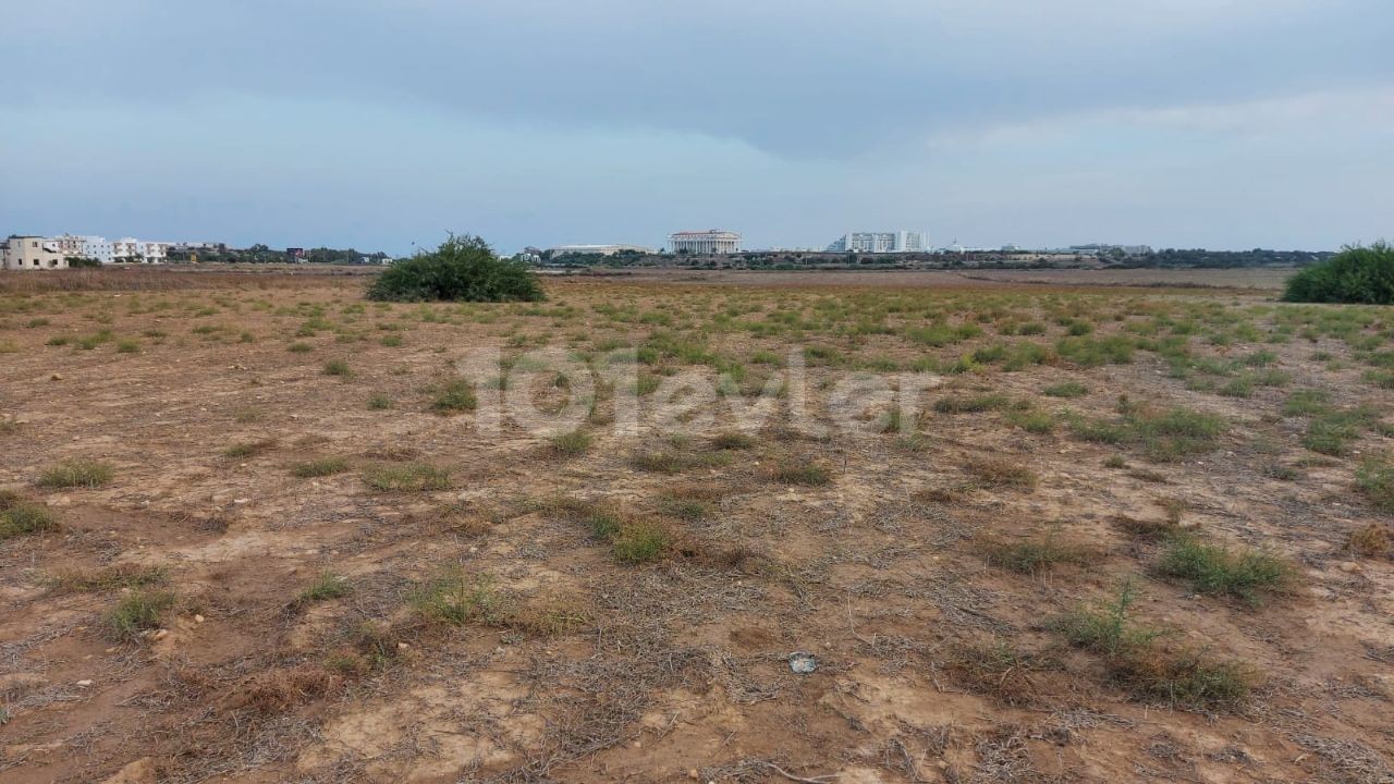 LAND FOR SALE IN ISKELE BAFRA REGION FROM THE ONLY AUTHORIZED SALES CONSULTANT