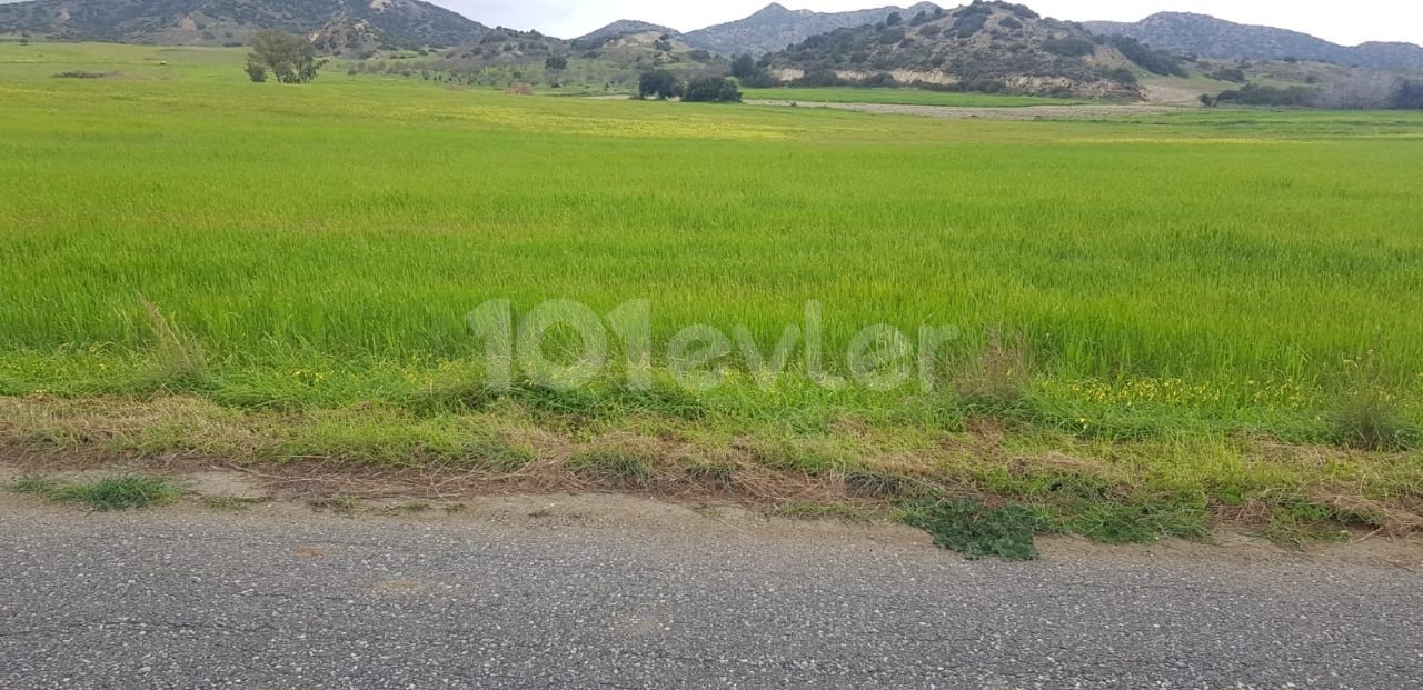 Iskele Balalan sea and mountain view land for sale (open for development)