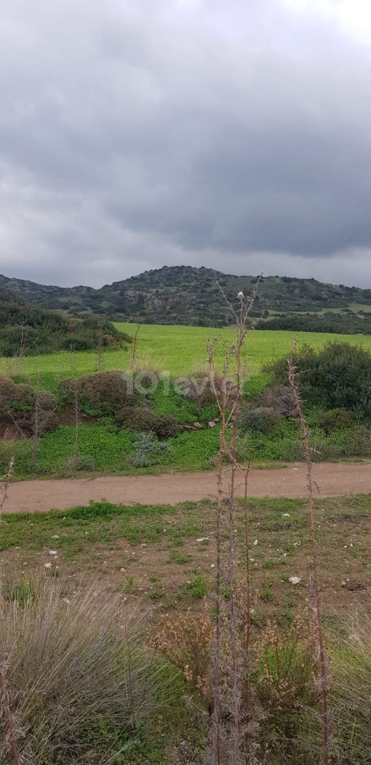 İskele Balalan deniz ve dağ manzaralı satılık arazi (imara açık)