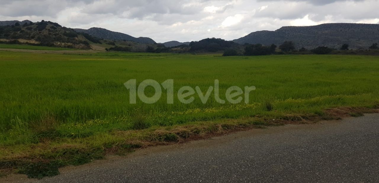 Iskele Balalan sea and mountain view land for sale (open for development)