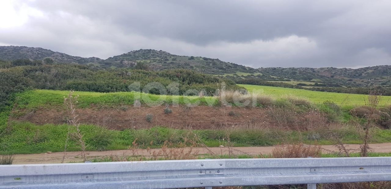 Iskele Balalan mountain view land for sale (open for development)