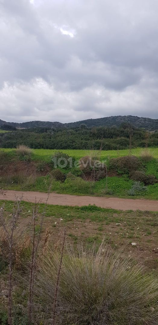 Iskele Balalan mountain view land for sale (open for development)