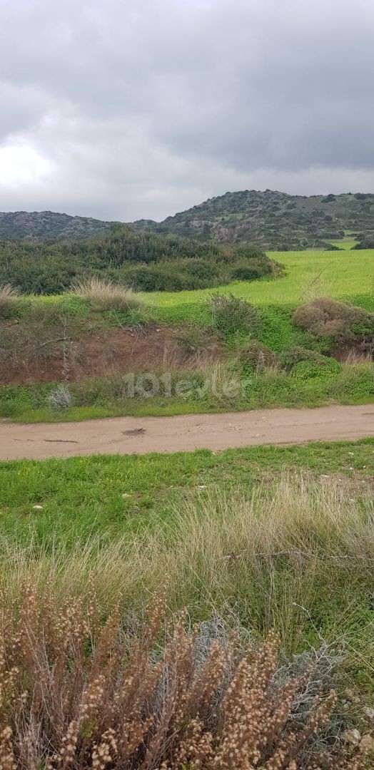 Iskele Balalan mountain view land for sale (open for development)