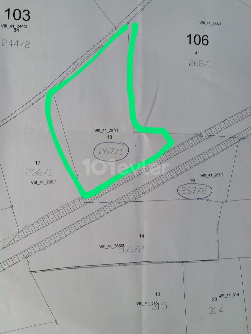 Field For Sale in Pamuklu, Iskele