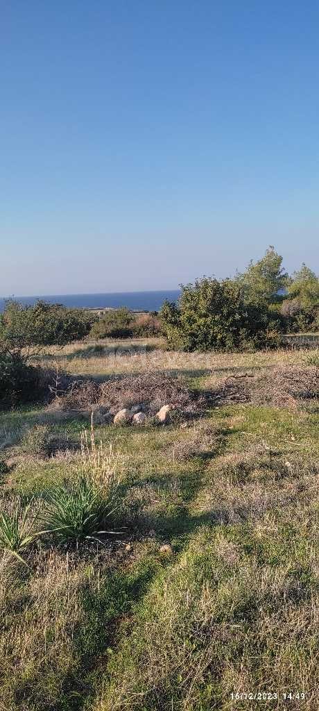 Qualified land in the northern region of Tatlısu, 700 meters from the sea