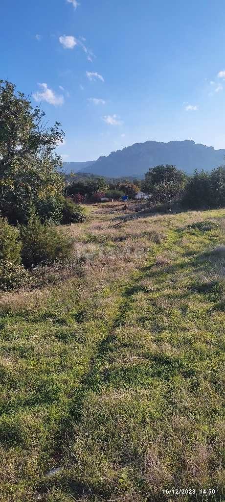 Qualified land in the northern region of Tatlısu, 700 meters from the sea