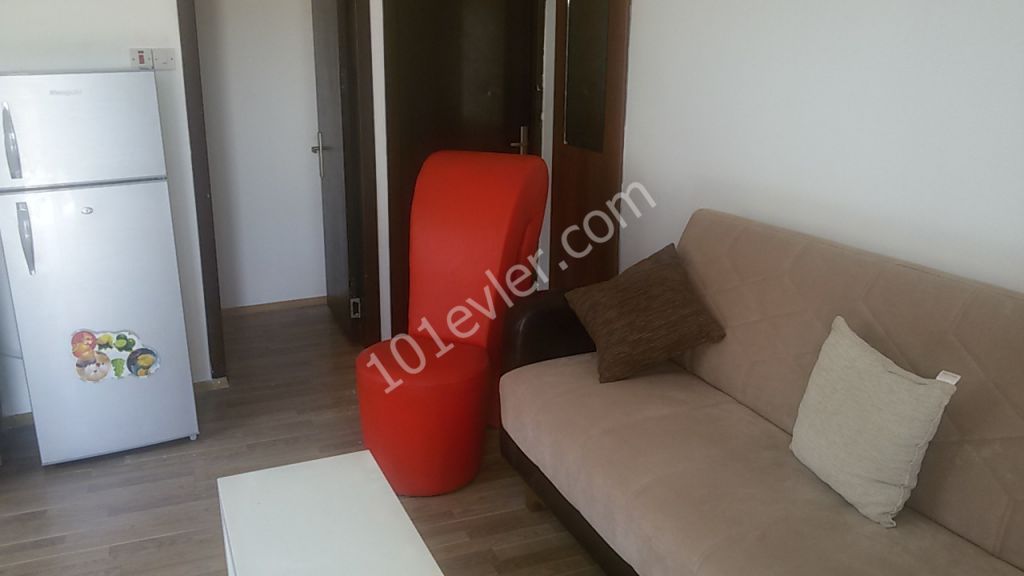 GÖNYELİDE 1+1 DAİRE (EŞYALI)