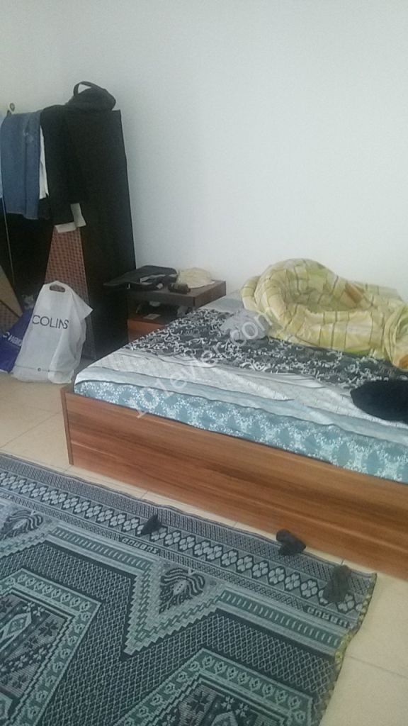 Flat To Rent in Küçük Kaymaklı, Nicosia