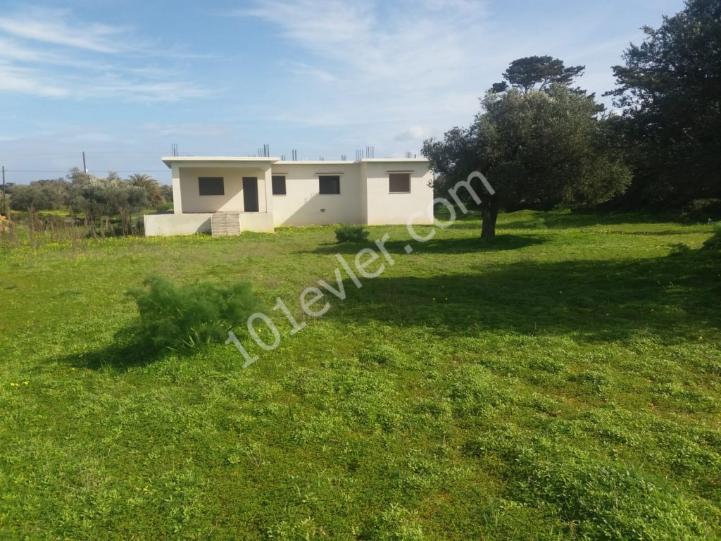 Detached House For Sale in Yeni Erenköy, Iskele