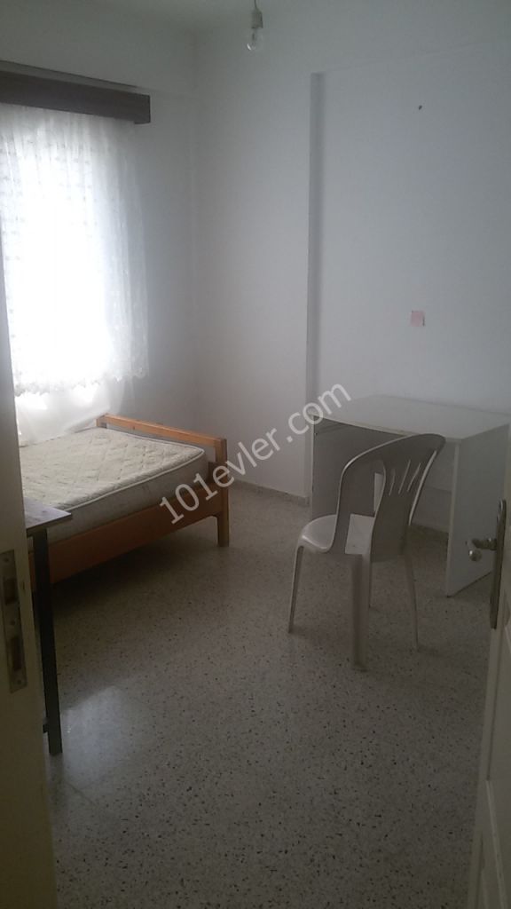 Flat To Rent in Haspolat, Nicosia