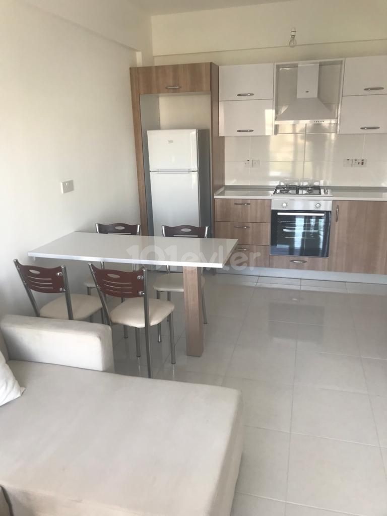 2+1 FULLY FURNISHED FLAT IN YENISEHIR