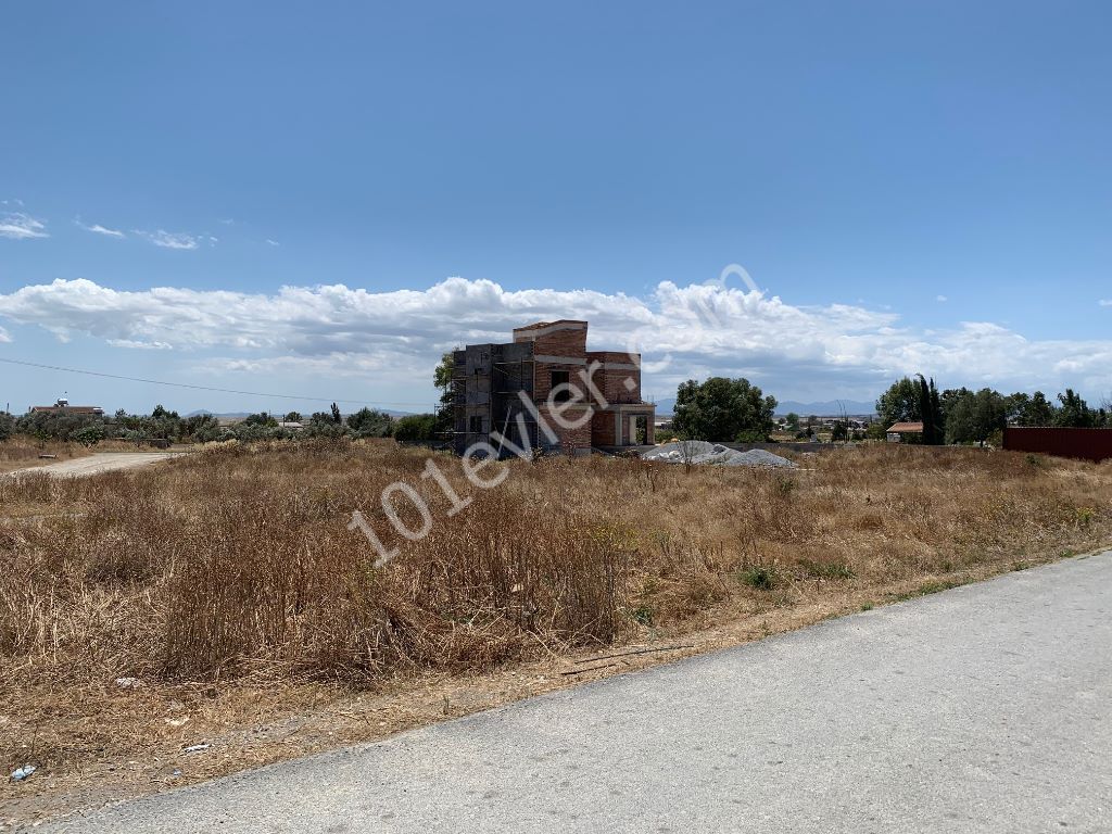 Türkische Immobilien-Land-Fisch-Nikosia - ** 