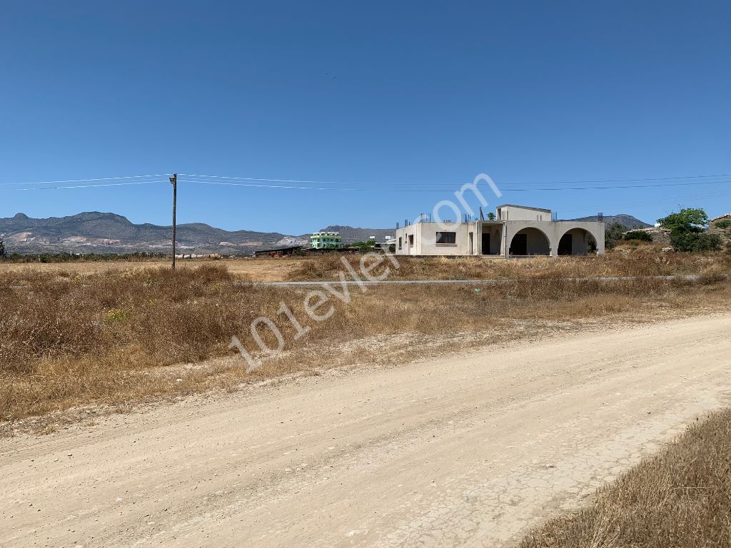 Türkische Immobilien-Land-Fisch-Nikosia - ** 