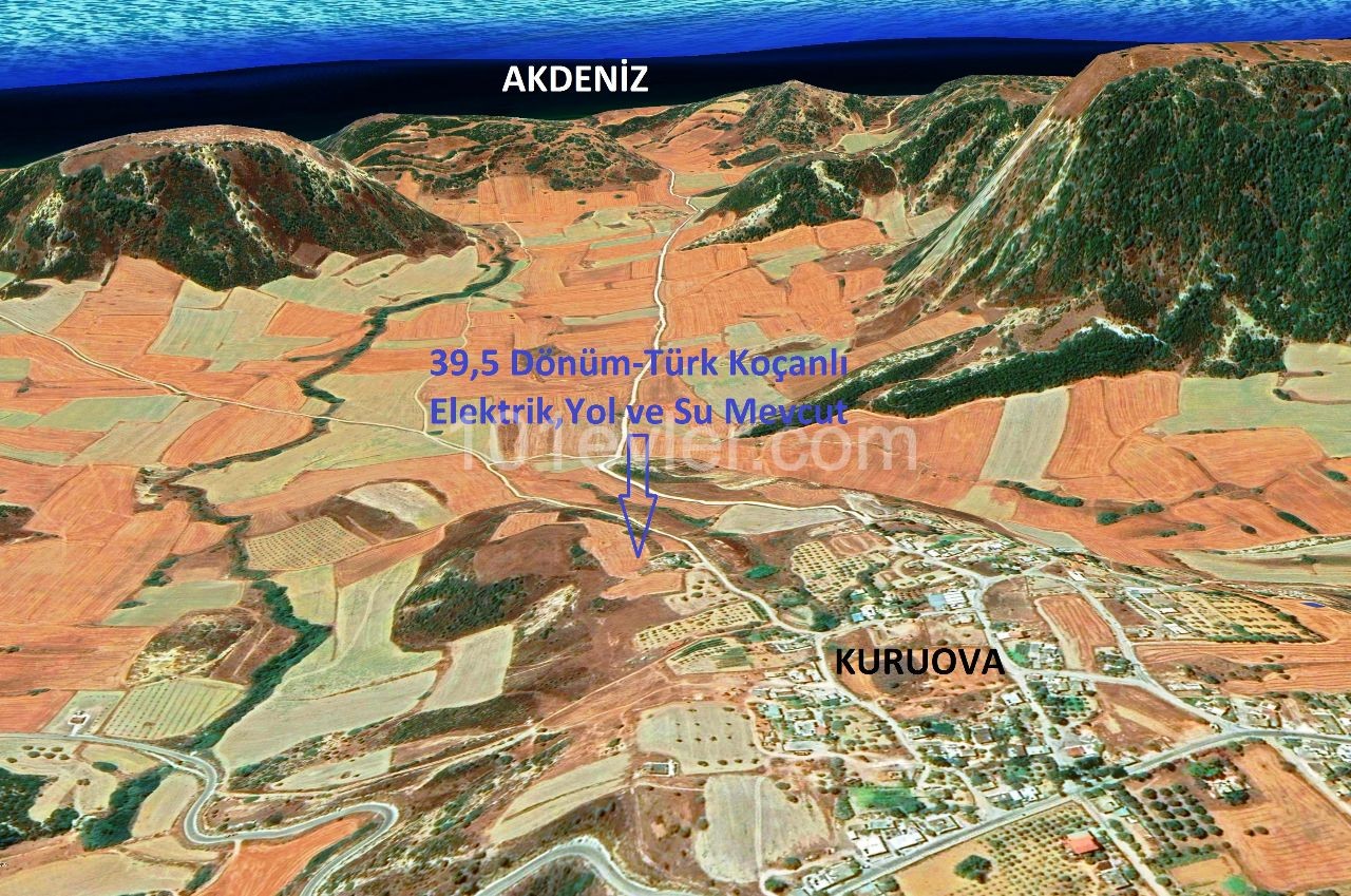 Турецкая титульная земля в Куруова ** 