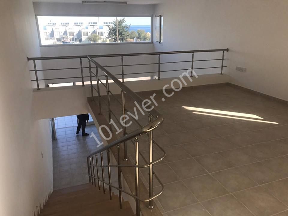 Girne Lapta'da 2 adet Dükkan, 1 adet 3+1 Penthouse, 1 zemin katta Bodrum