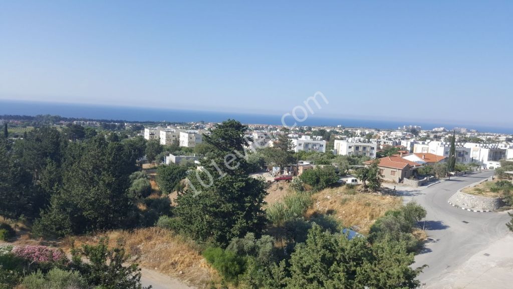 Flat To Rent in Lapta, Kyrenia