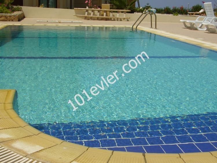 100 stg per day or 1800 per month...Alagadi area, private swimming pool inc.