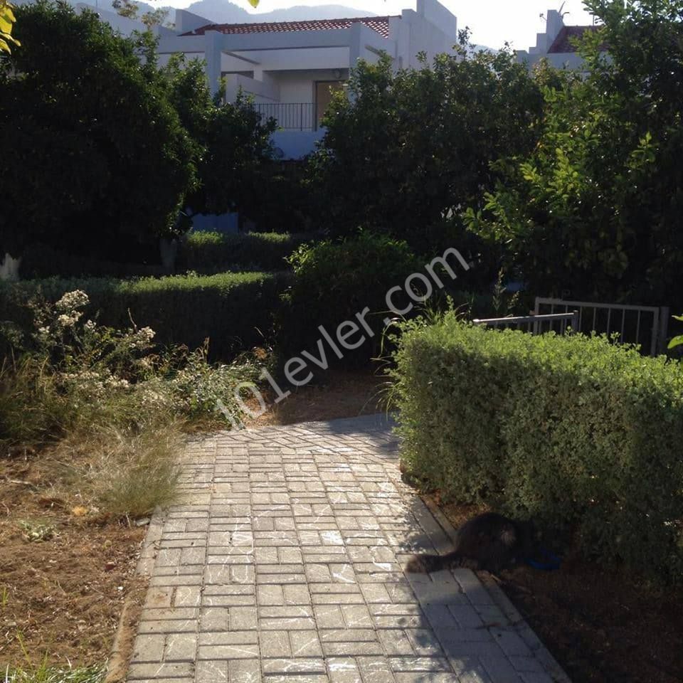 Flat To Rent in Alsancak, Kyrenia