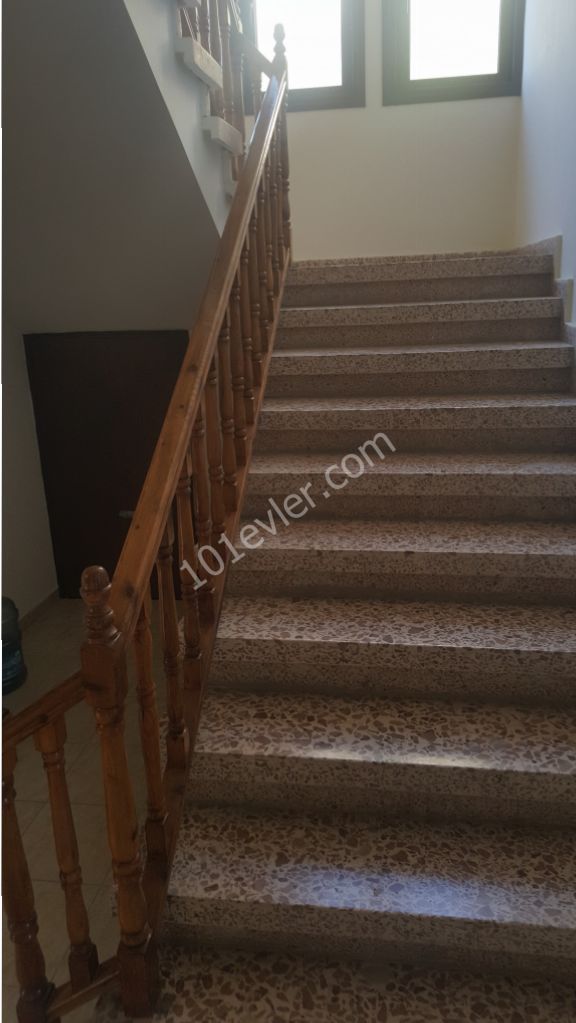 Flat To Rent in Dumlupınar, Nicosia