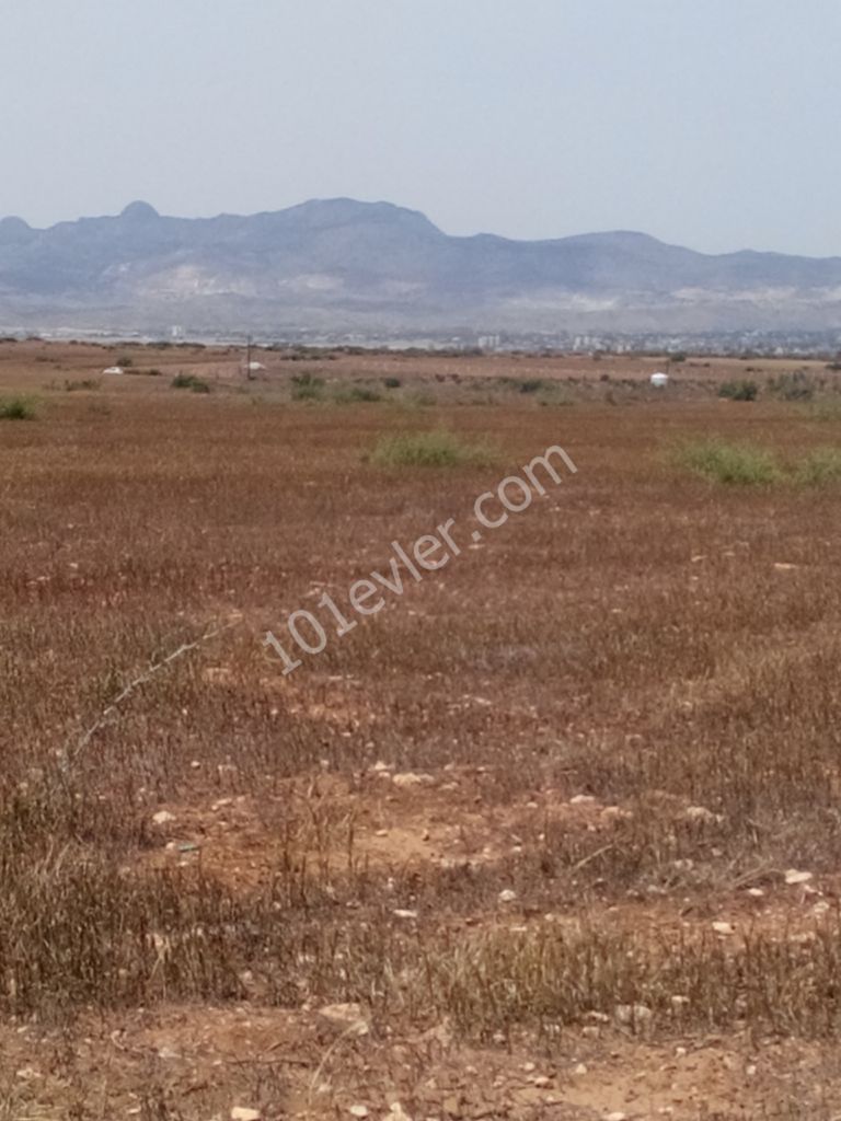 Residential Zoned Plot For Sale in Meriç, Nicosia