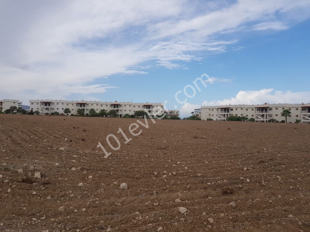 Residential Zoned Plot For Sale in Tatlısu, Famagusta