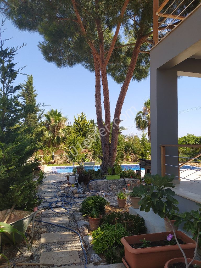 Girne, Catalkoy, lux 2+1 havuzlu satilik villa +905428777144 WhatApp Turkce, English, Rus