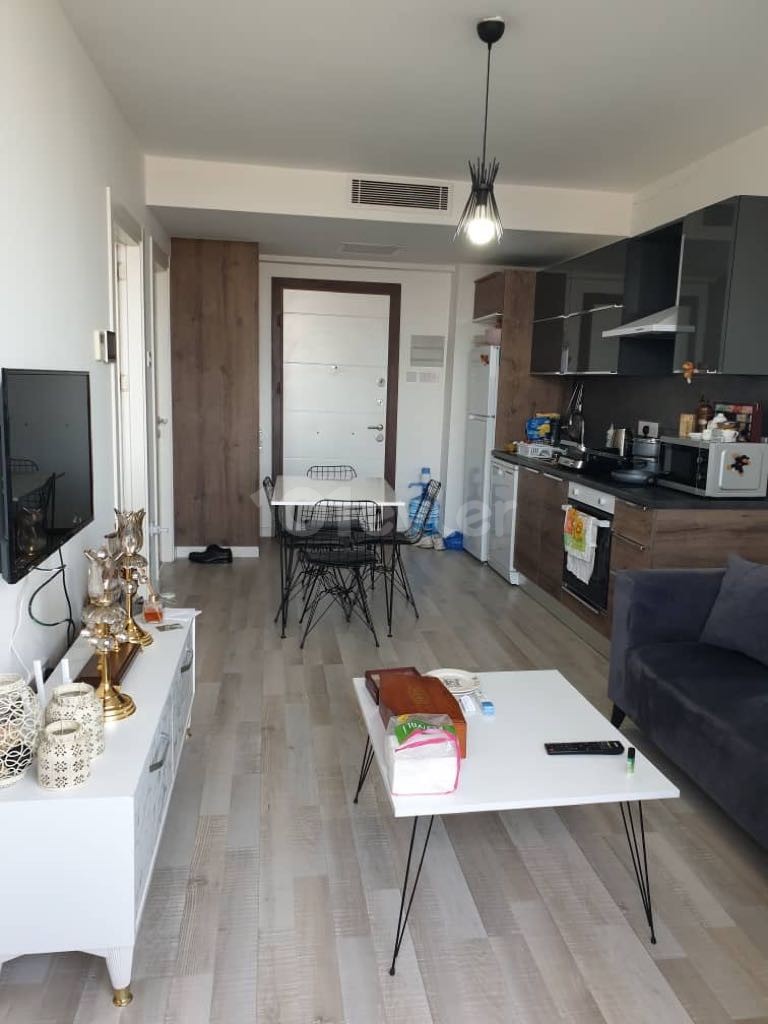 1 BEDROOM APARTMENT FOR SALE İN NORTHERNLAND PREMİER APARTMENT 