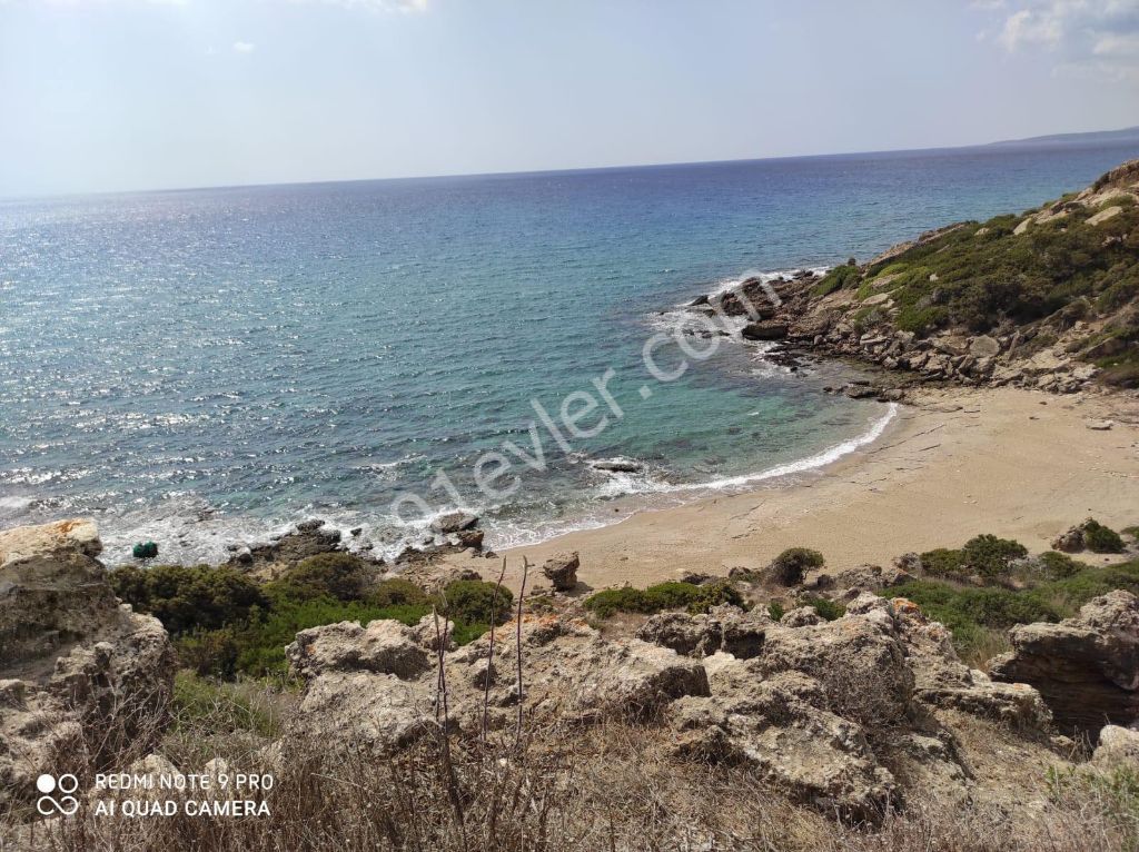 42 Acres of Land for Sale in Dipkarpaz ** 