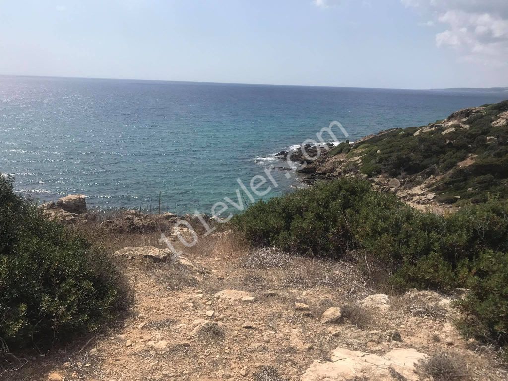 42 Acres of Land for Sale in Dipkarpaz ** 