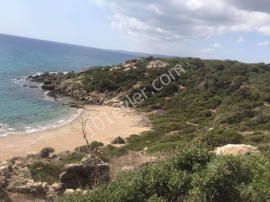 42 Acres of Land for Sale in Dipkarpaz ** 