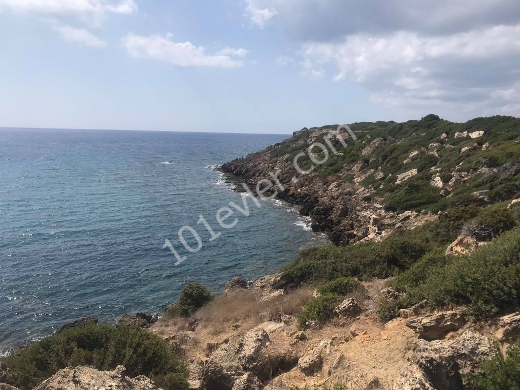 42 Acres of Land for Sale in Dipkarpaz ** 