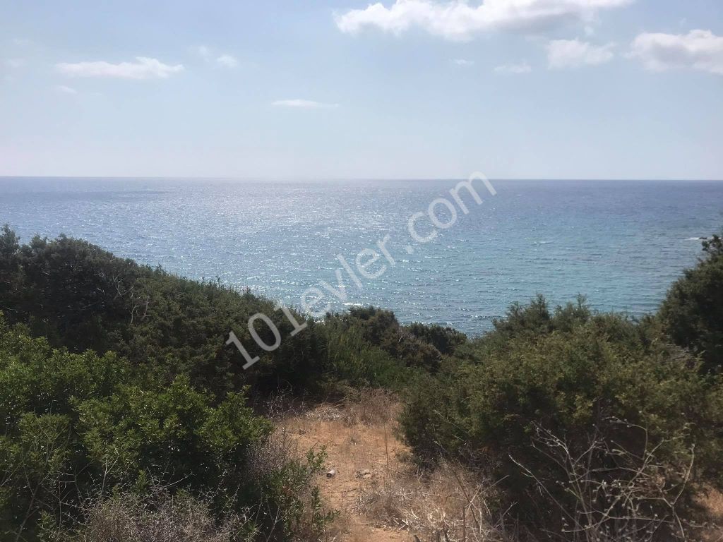 42 Acres of Land for Sale in Dipkarpaz ** 