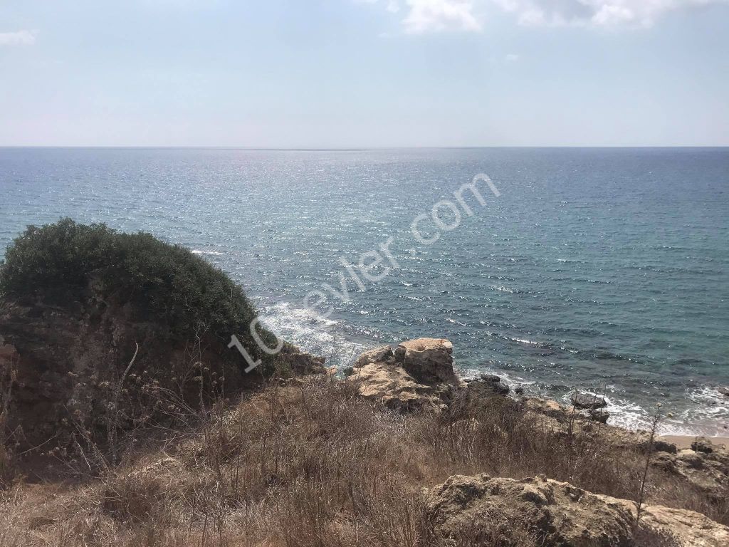 42 Acres of Land for Sale in Dipkarpaz ** 