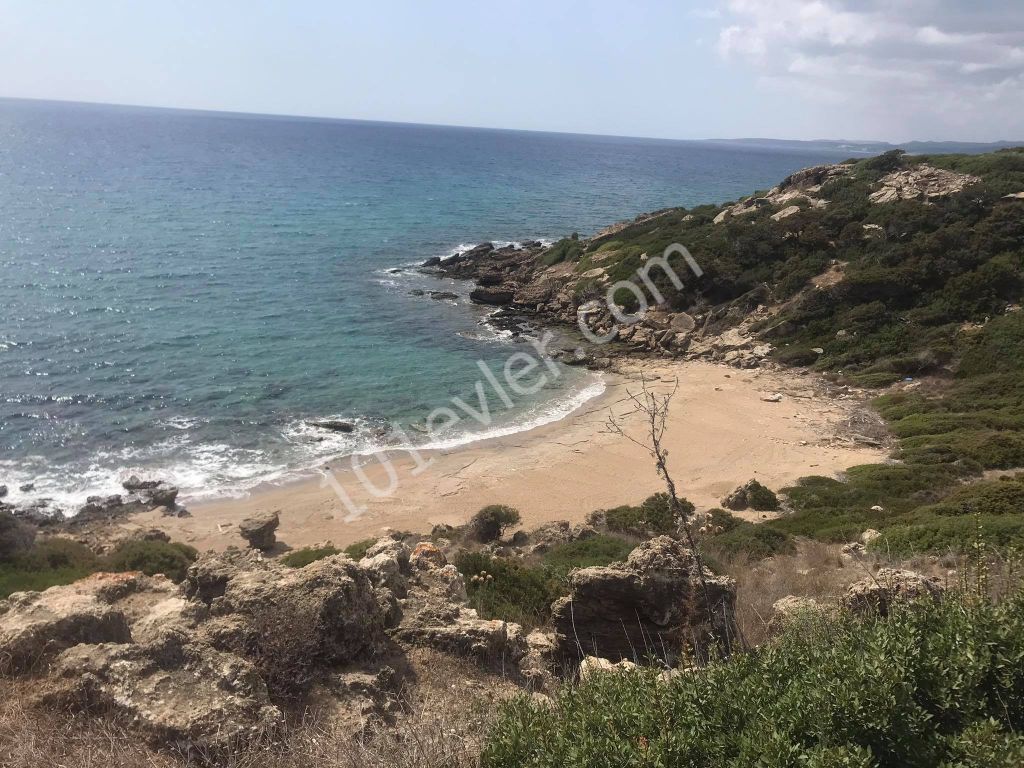 42 Acres of Land for Sale in Dipkarpaz ** 