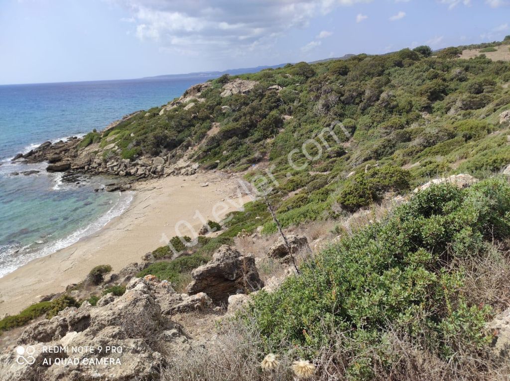 42 Hektar Land zum Verkauf in Dipkarpaz ** 