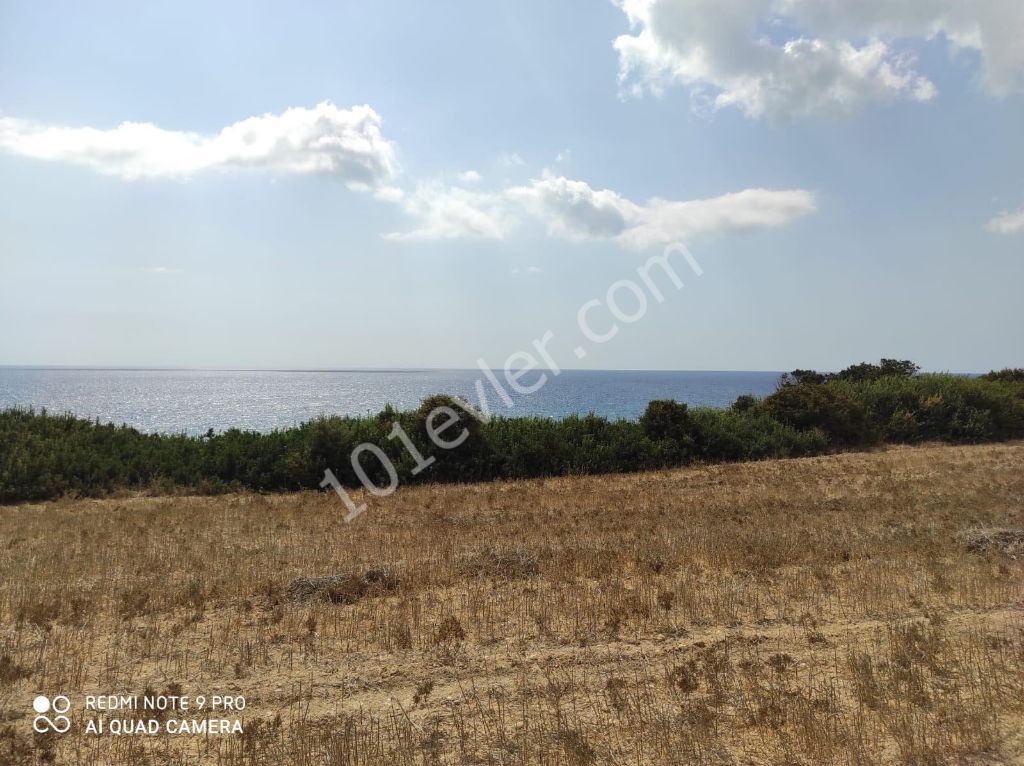 42 Acres of Land for Sale in Dipkarpaz ** 