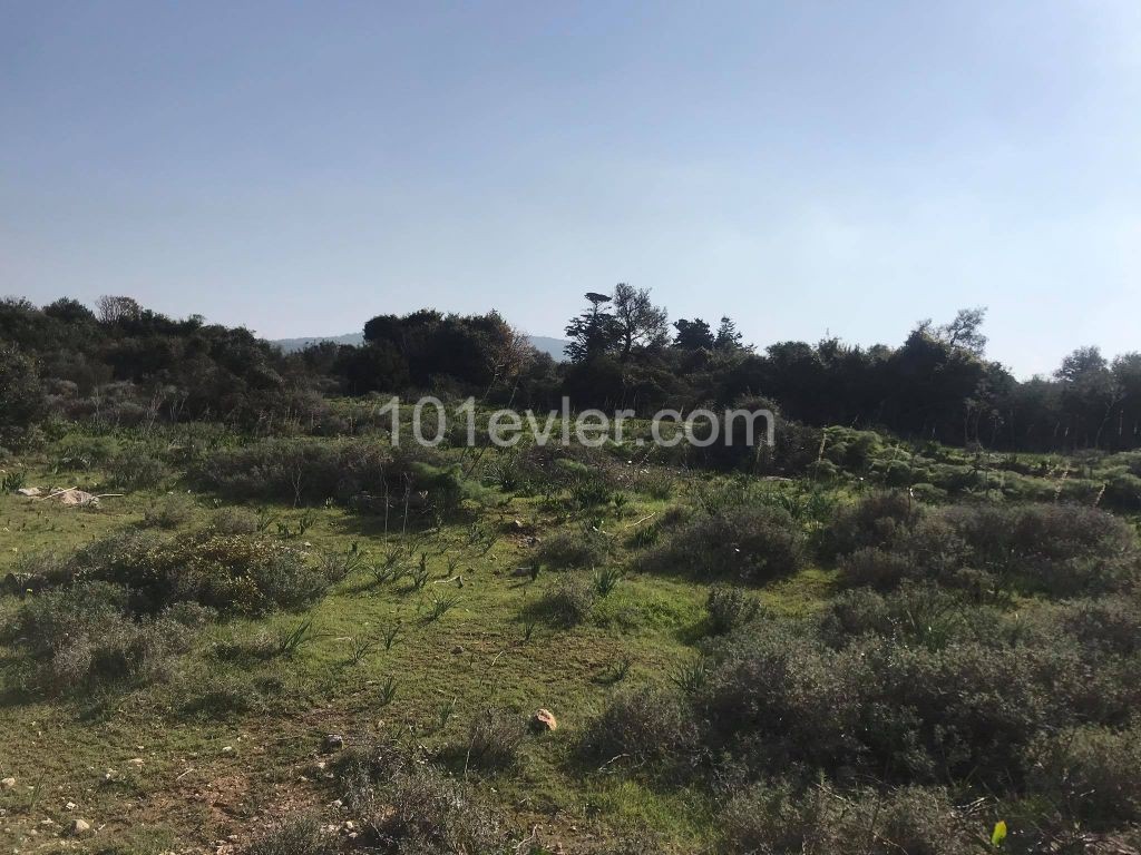 Sipahi-Tanyel Site Over 8 Acres of Land with Mountain and Sea Views ** 